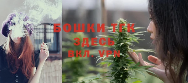 дживик Белокуриха