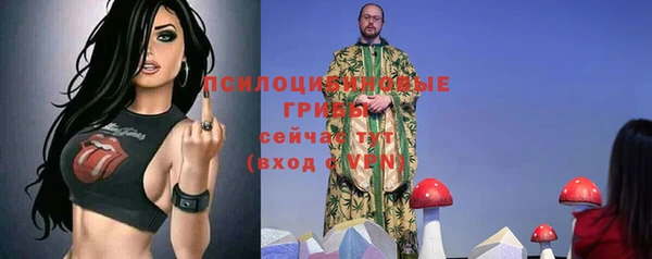 дживик Белокуриха