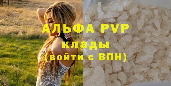 дживик Белокуриха