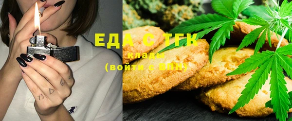 дживик Белокуриха