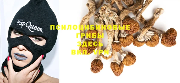 дживик Белокуриха