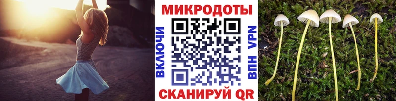 Купить  Чудово  Псилоцибиновые грибы Psilocybine cubensis 